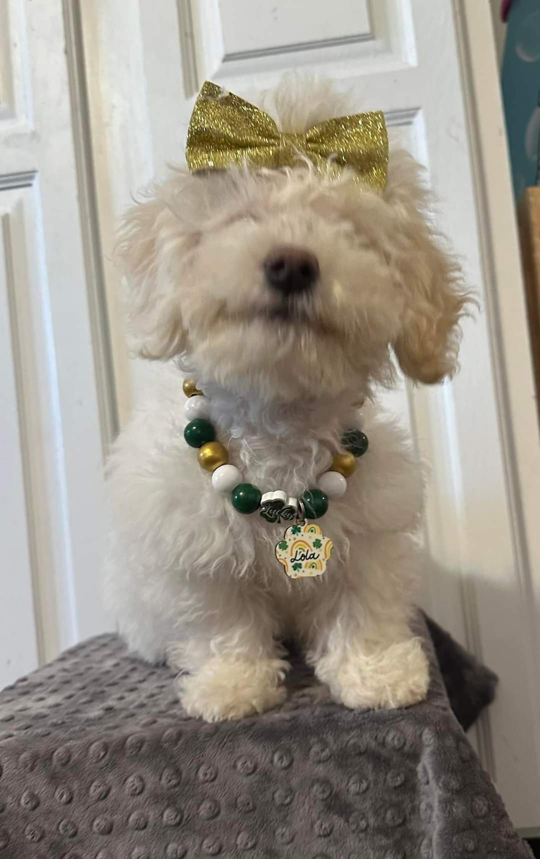 Dog Tag