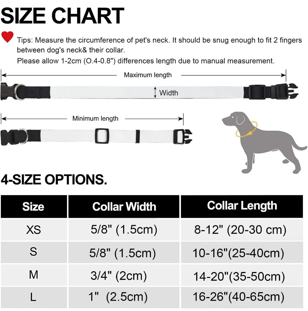 Horseshoe Dog Collar