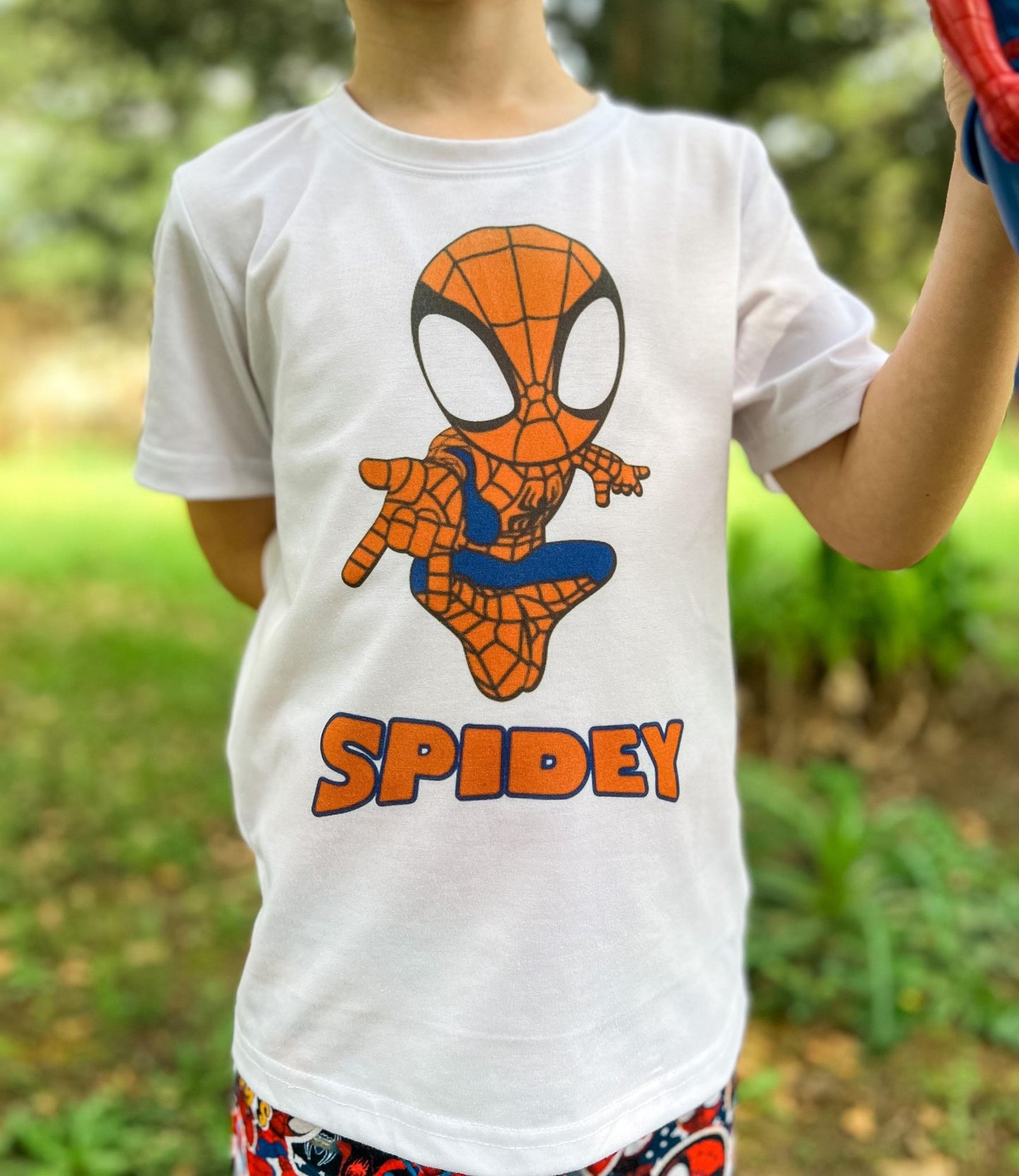Hero Spider