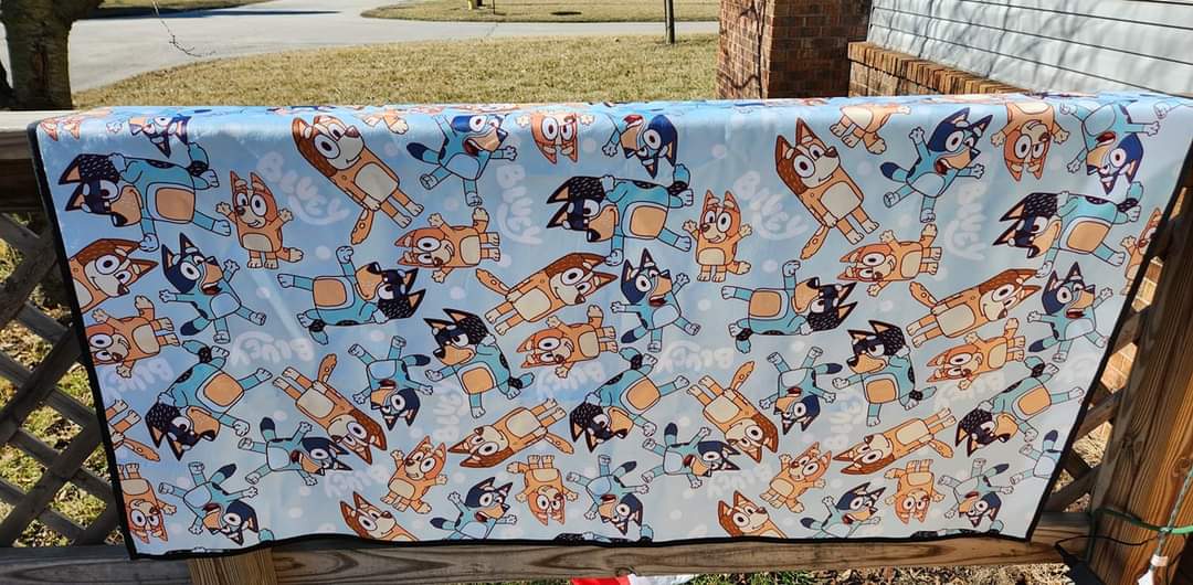 Picnic/Beach Blanket