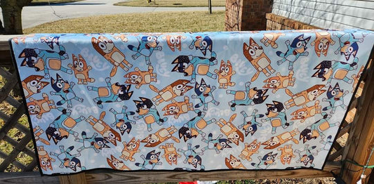 Picnic/Beach Blanket