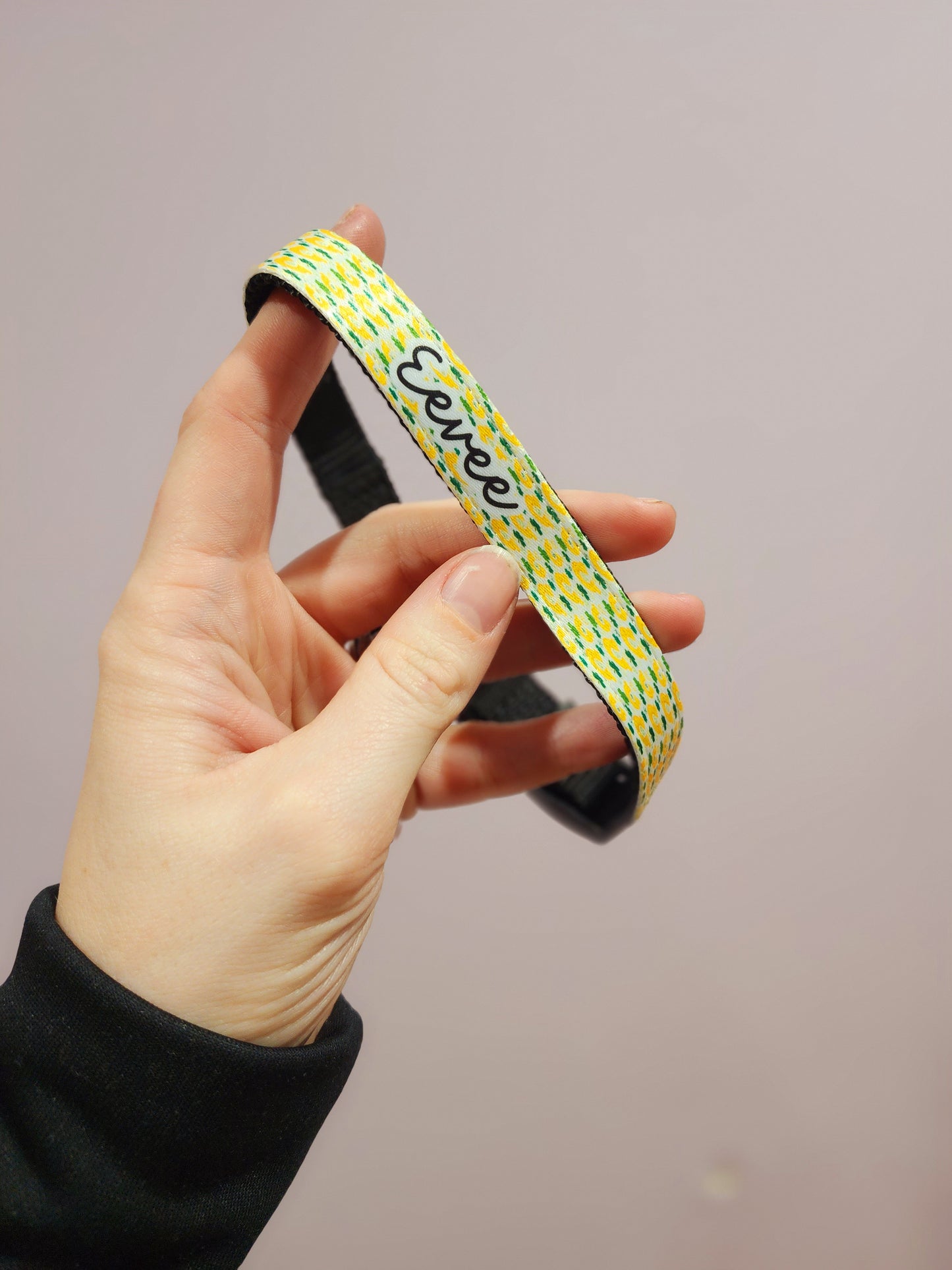 Dog Collars