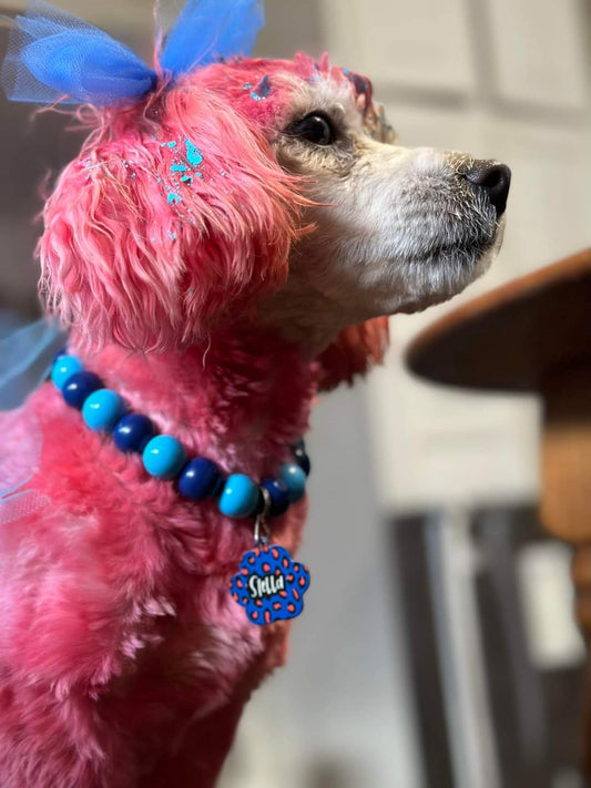 Dog Tag
