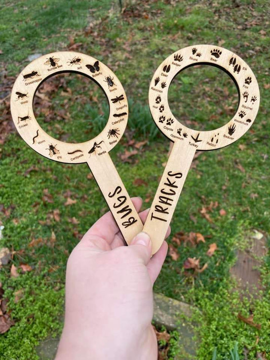 Bug/Track Finder