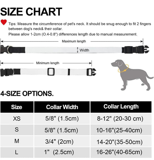Dog Collars