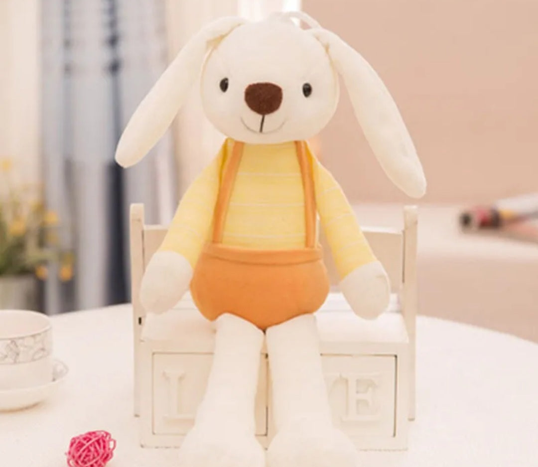 Boy Bunny