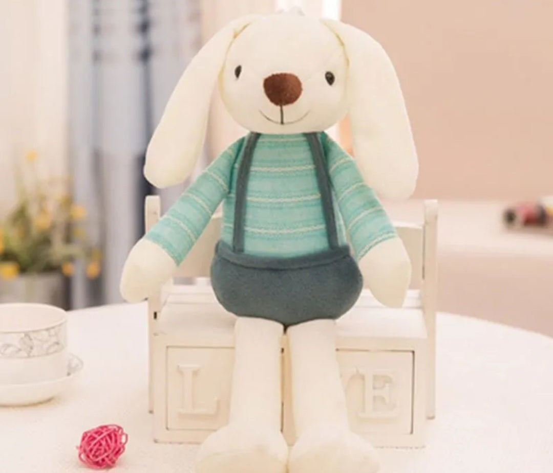 Boy Bunny