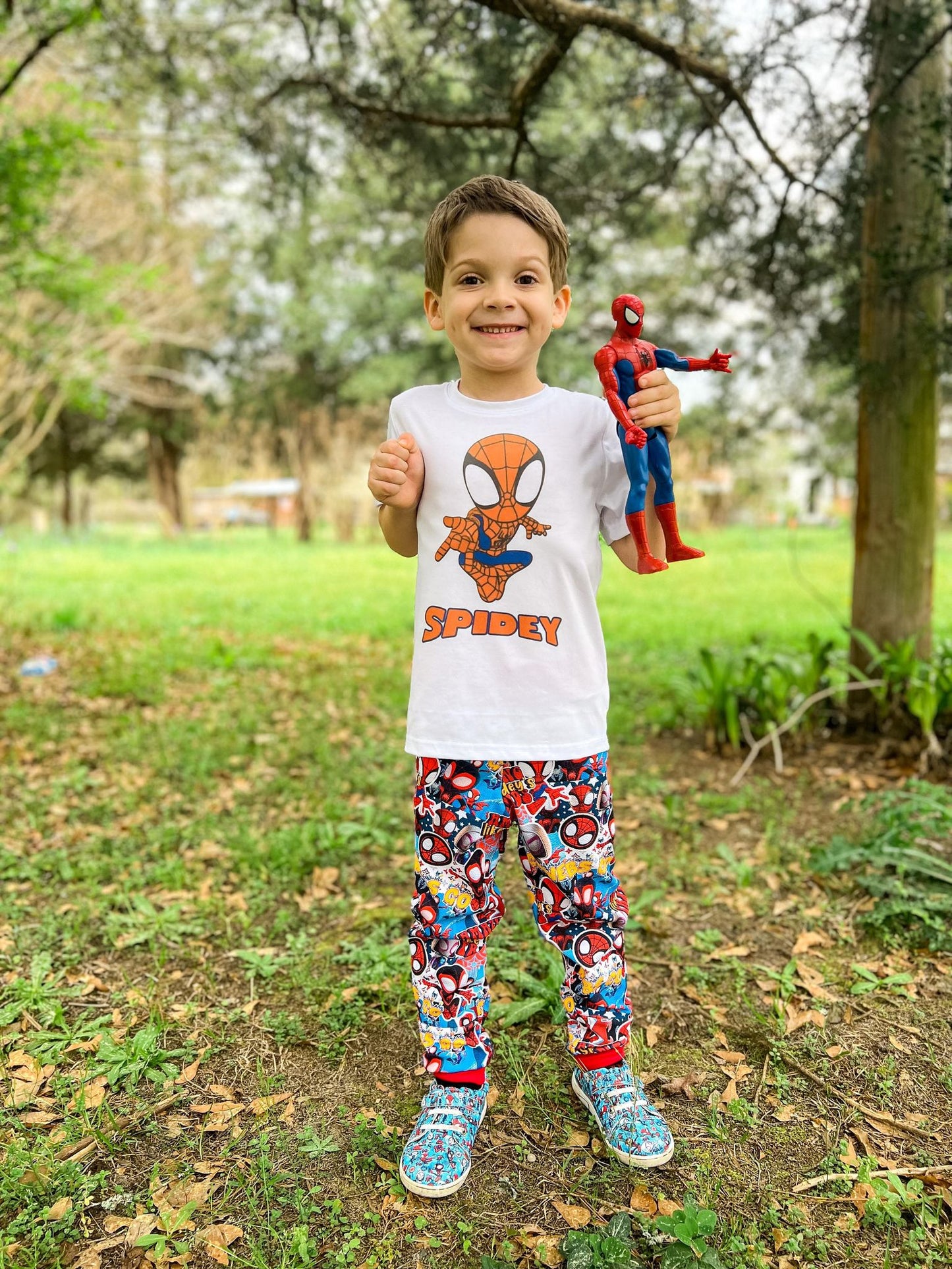 Hero Spider